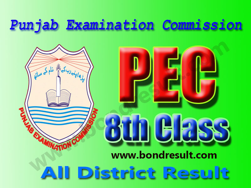 Punjab Examination Commission PEC 8th Class Result 2021 2021
