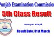 PEC 5th Class Result online