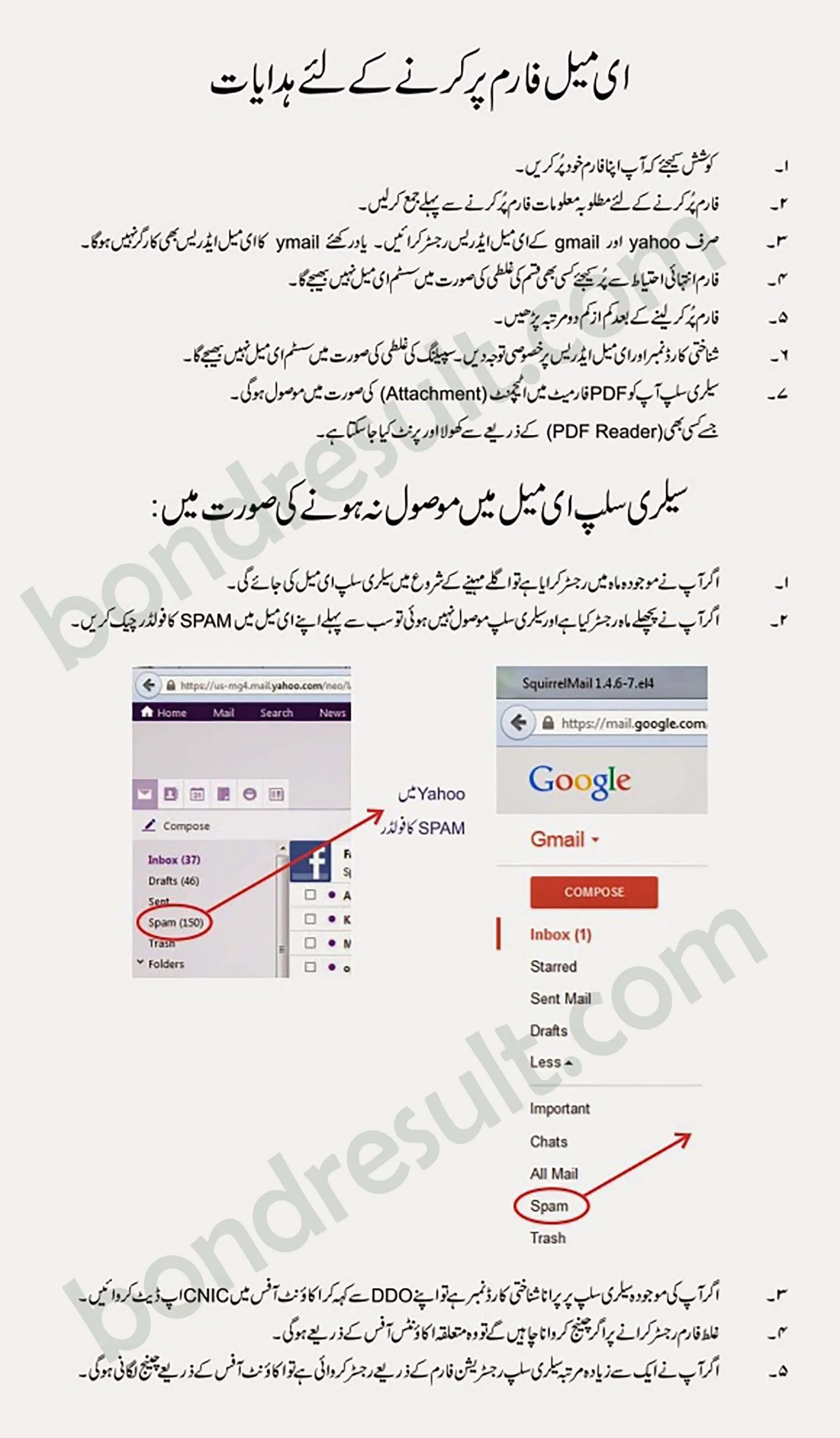 Download Salary slip for All Govt of KPK Employees Online