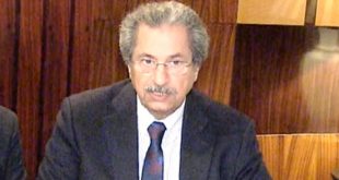 Minister for Federal Education Shafqat Mahmood