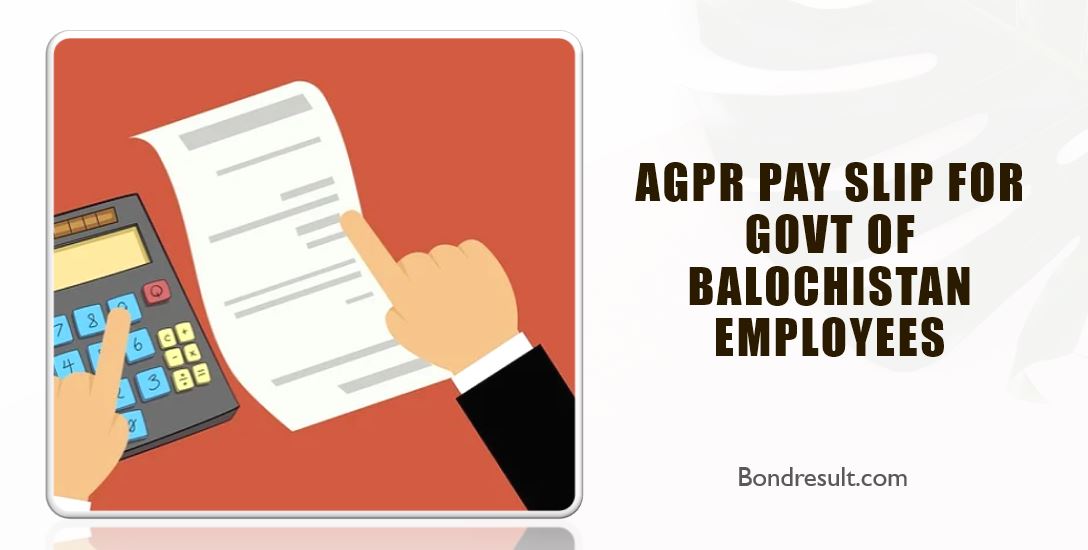 Image for AGPR Pay slip for Govt of Balochistan Employees