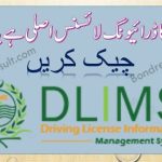 Verify and DLIMS Punjab online apply